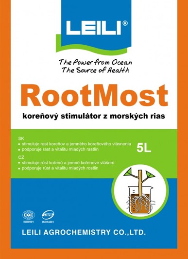 RootMost
